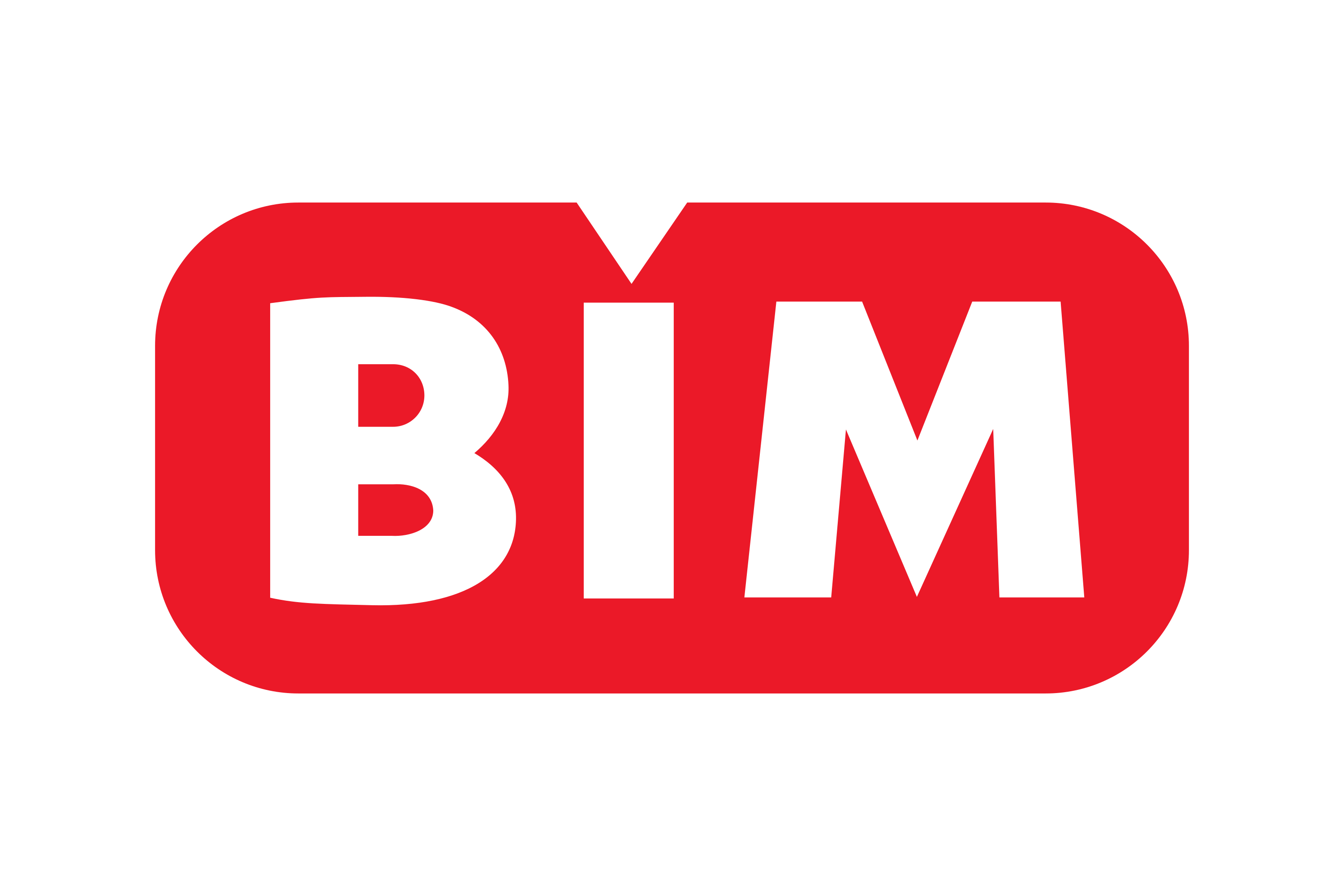 BIM